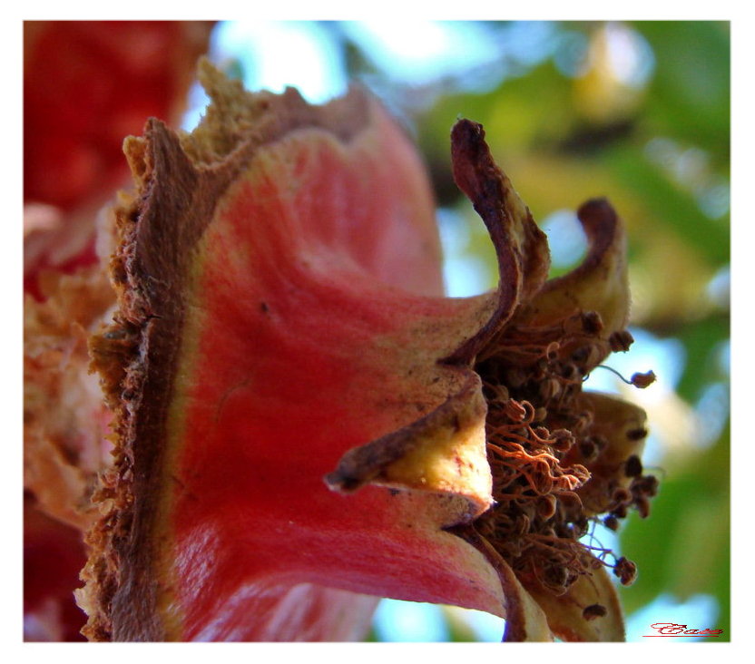 I colori dell''autunno...